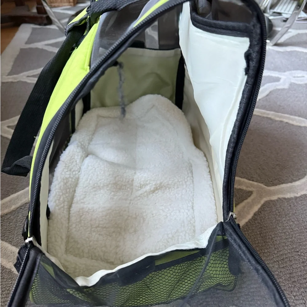 Green Dog Carrier with Mesh Panels